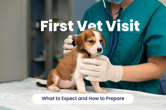 5 Tips to Preparing for Your Pet's First Vet Visit