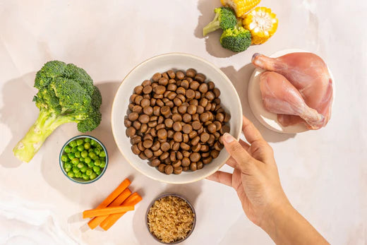 Carniwel Veg Dry Dog Food, Dog Food Bowl, Veg Superfoods - Best Dog Food in India