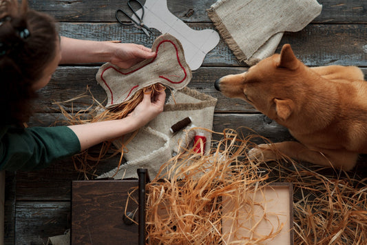 4 Ways Pets Help With Stress and Mental Health | Carniwel
