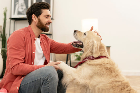 How Long Can You Leave a Dog Alone