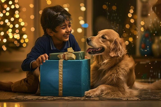 4 Ways to Strengthen Your Bond With Your Pet? | Carniwel
