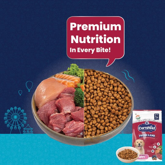 Carniwel Premium pet food for pedigree dog, delivering premium nutrition in every bite for optimal health. Healthy dog food