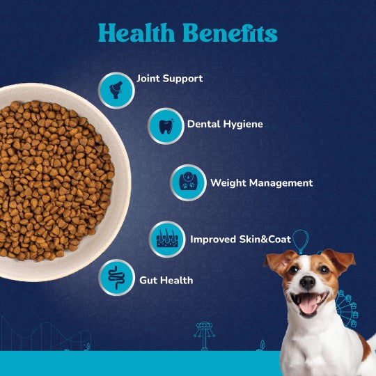 Carniwel Fresh Lamb Dry Dog Food – Supports skin & coat, dental hygiene, weight management, and gut health | Healthy dog food