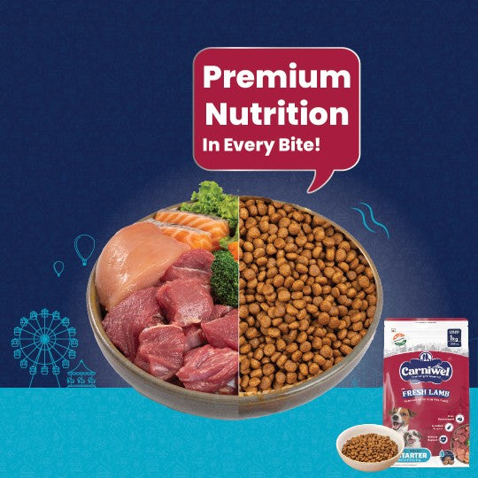 Carniwel Premium pet food for pedigree dog, delivering premium nutrition in every bite for optimal health. Healthy dog food