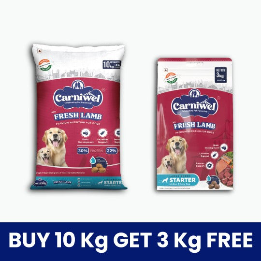 Carniwel Dry Dog Food with Fresh Lamb for Large Breed, Starter
