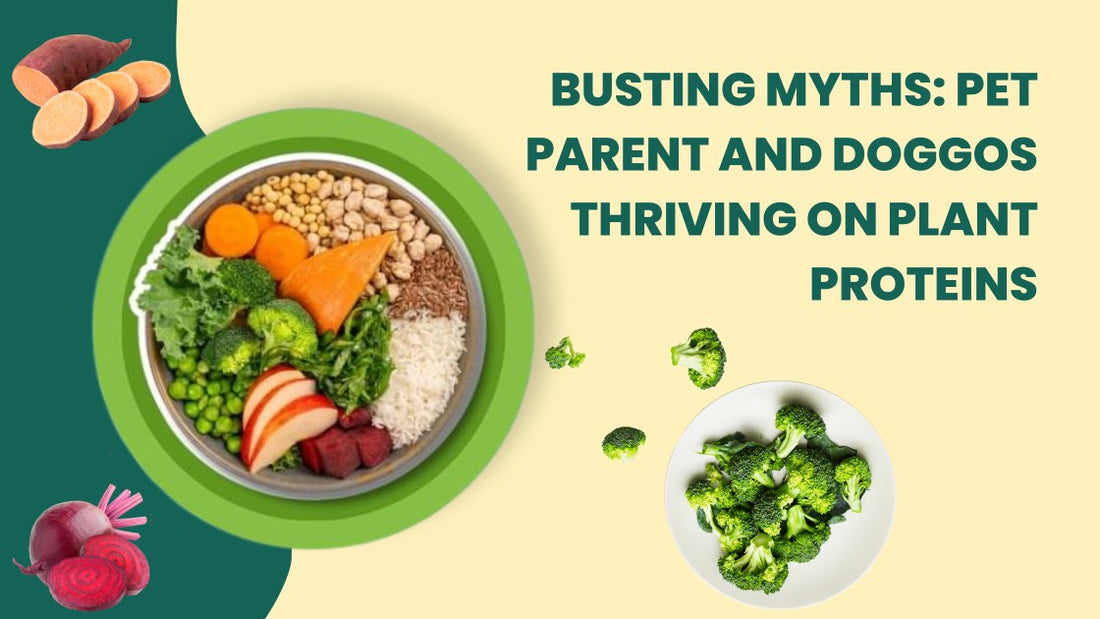 Vegetarian Dog Food: Nutritional Myths and Facts | Carniwel