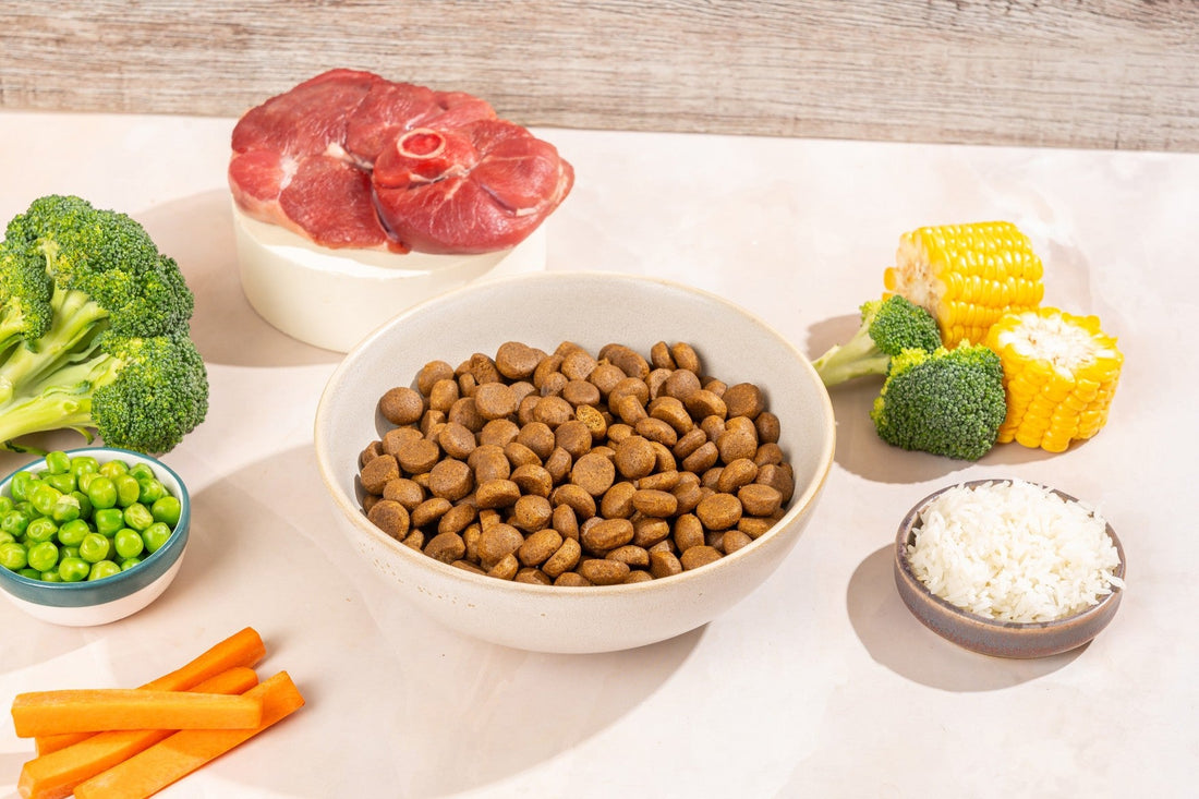 Lamb for Dogs: The Perfect Winter Meat | Carniwel Pet Food bowl
