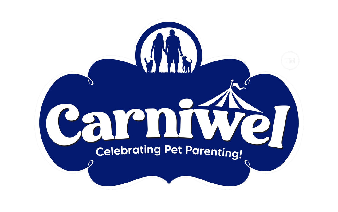 Growel Group enters Pet Food Category with the launch of 'Carniwel'