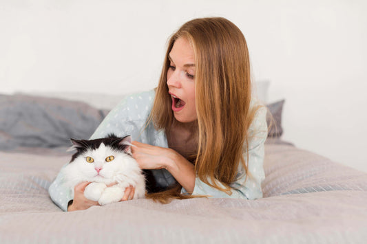 Why Does My Cat Bite Me When I Pet Them
