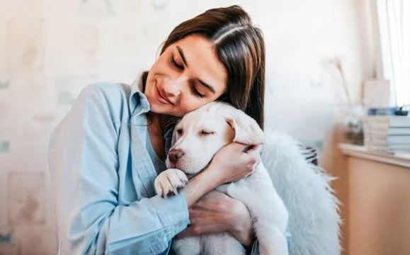How often should you bathe your pets in winter? Experts weigh in