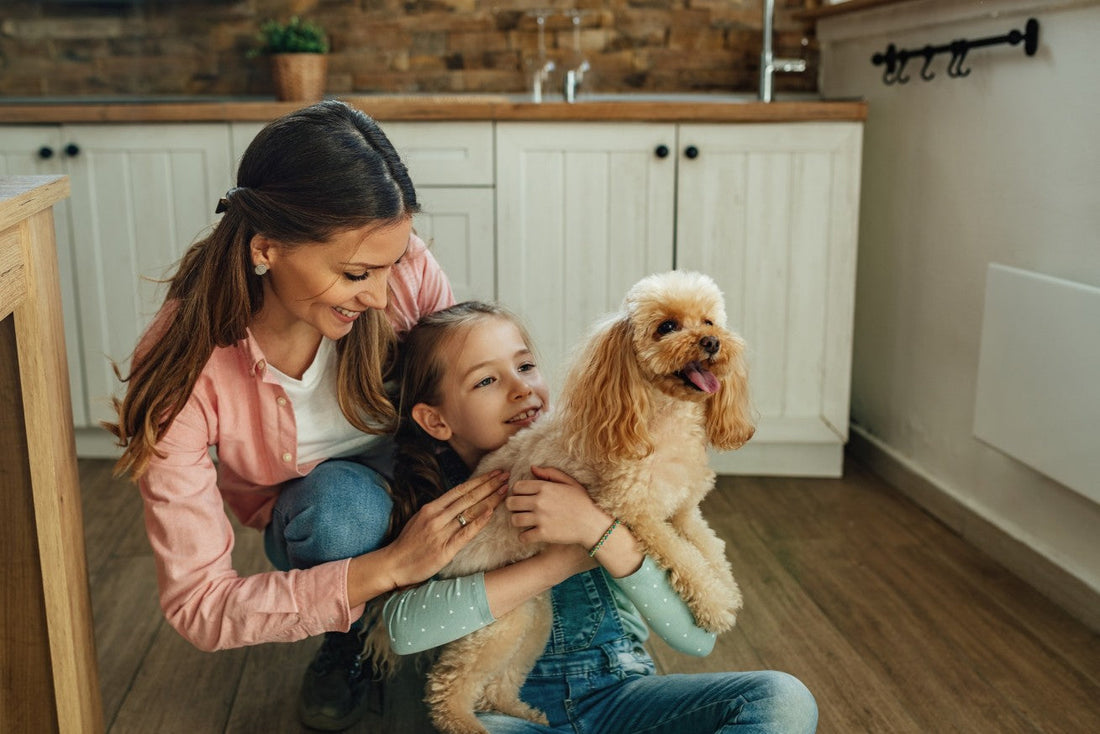 Challenges of Single Parenting in India When a Pet Depends on You - Carniwel