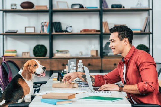 Paws at Work: Inside India’s Growing Pet Friendly Office Culture