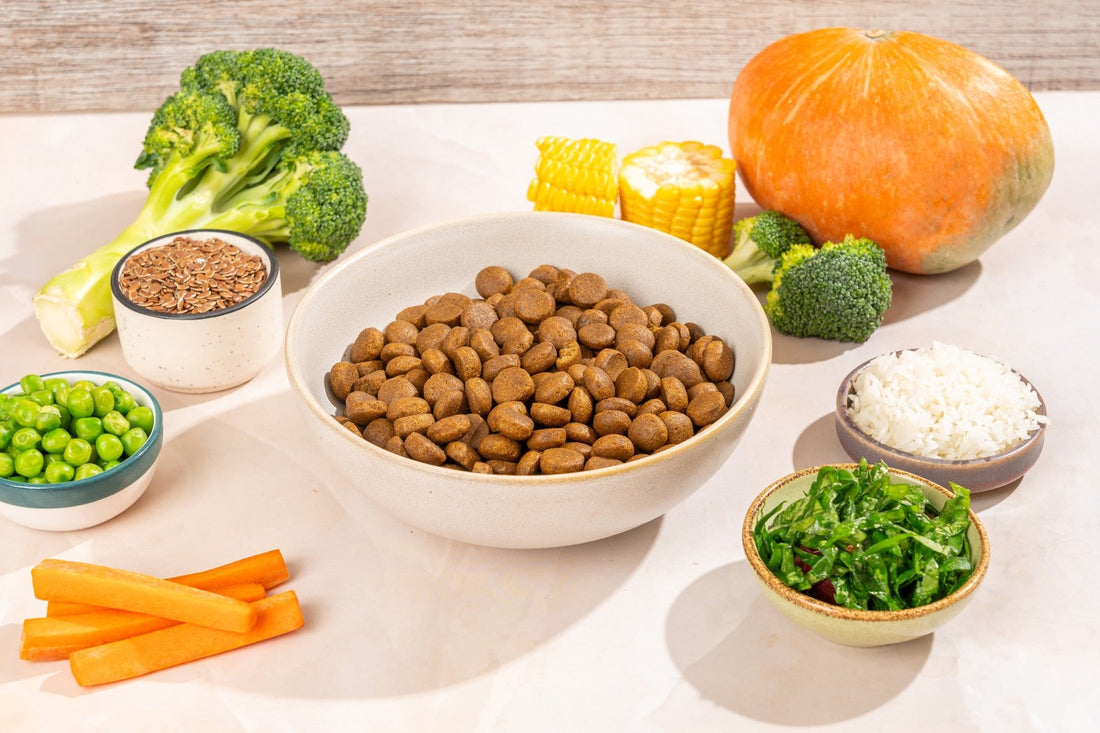 Superfoods For Super Pups: Nutrient Packed Ingredients for a Healthy Dogs Diet | Carniwel Dog Food and Cat Food