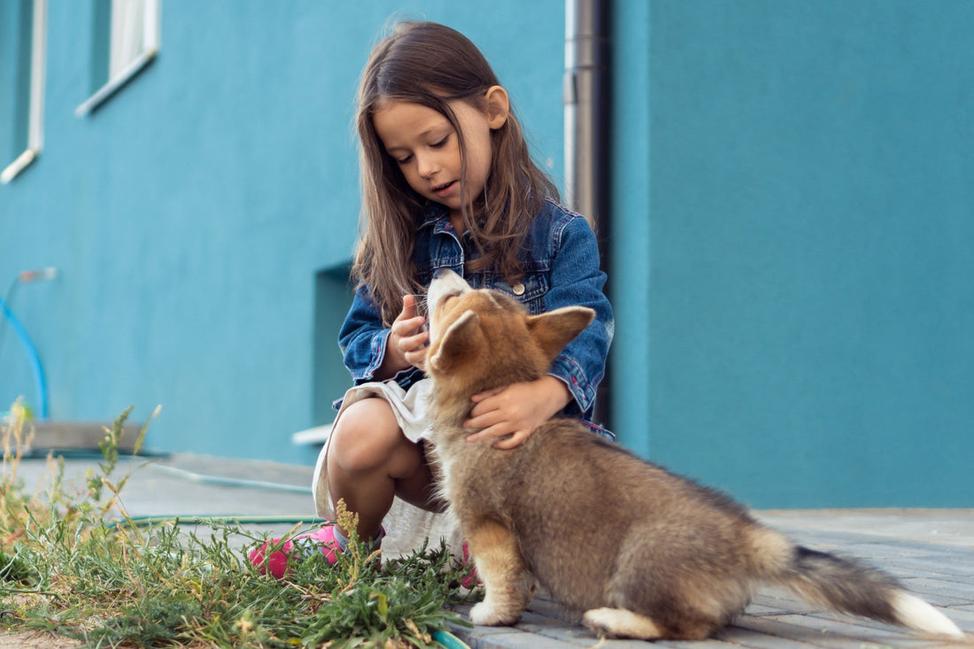 5 Benefits of Pets & Children Growing Up Together - Carniwel