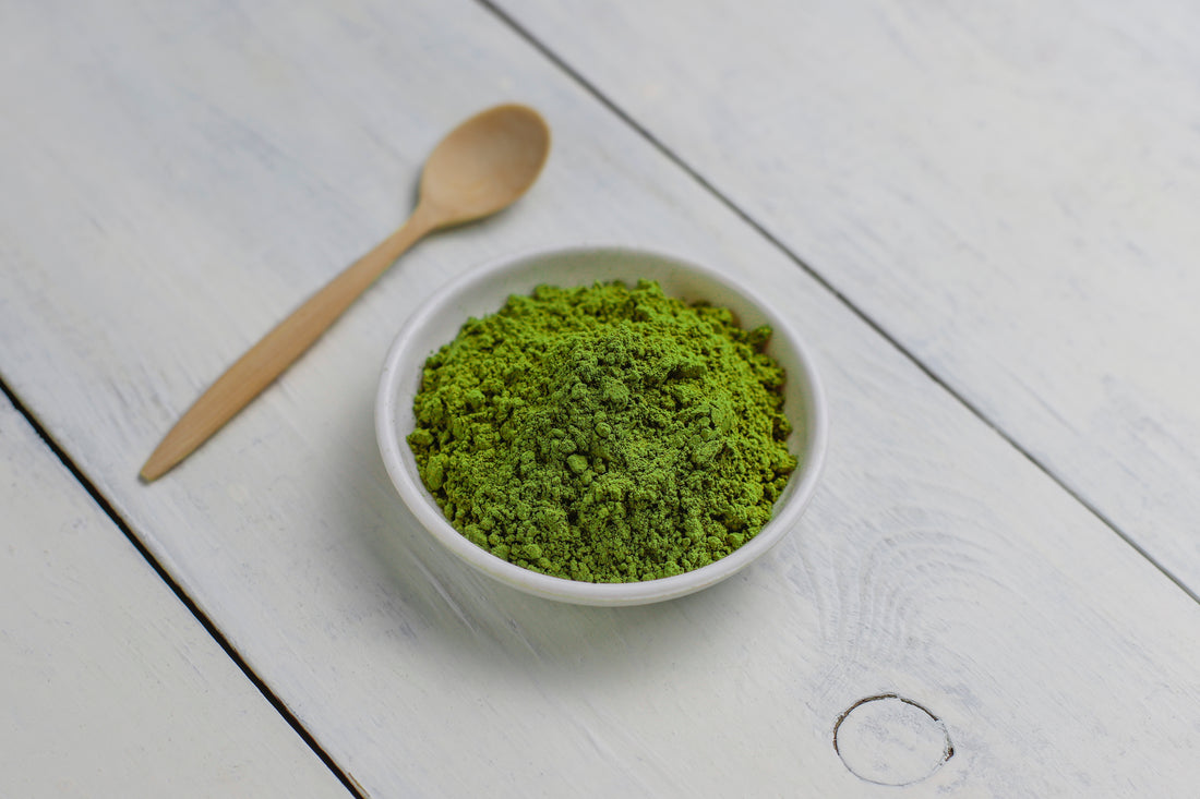 Unlocking the Power of Spirulina: A Nutritional Boost for Dogs