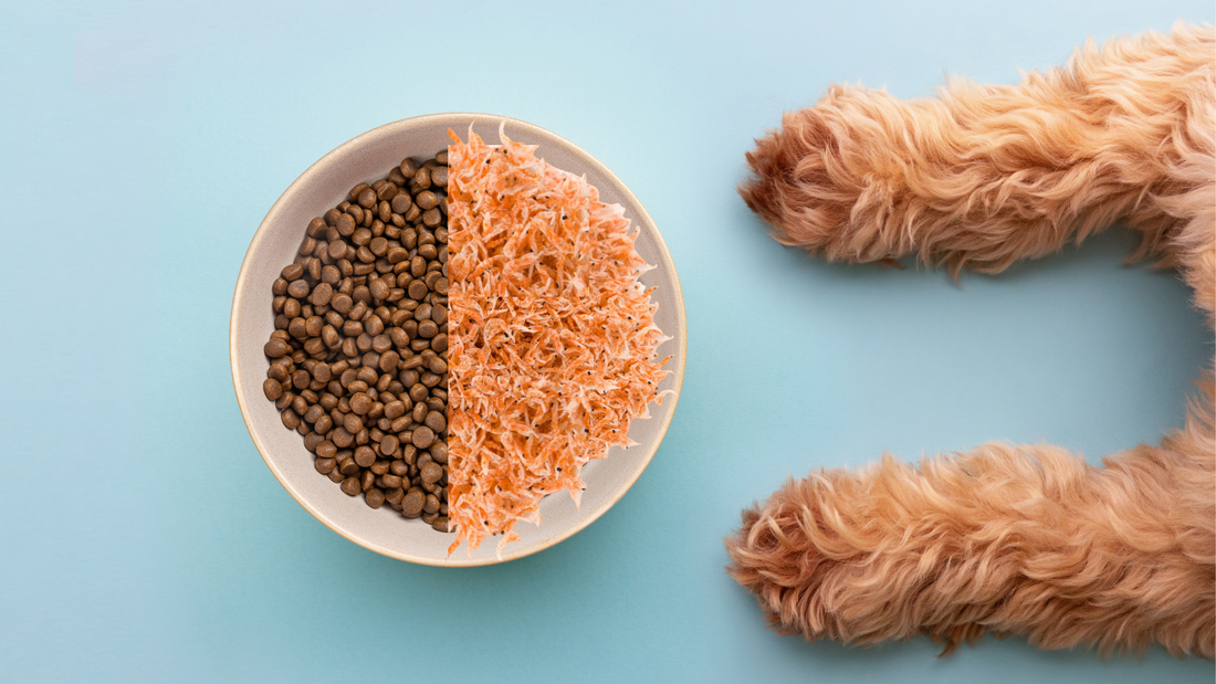 Krill: Revolutionising Your Pet's Diet