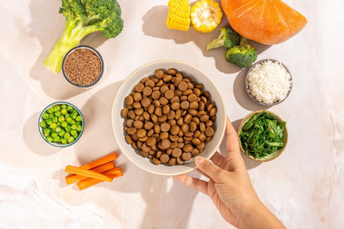 Beyond Meat: The Rise of Vegetarian Dog Food for Healthy Pet