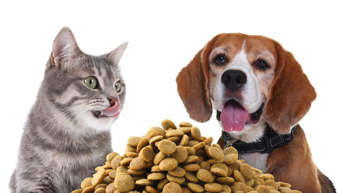 What ‘Protein %’ Really Means on Pet Food Labels