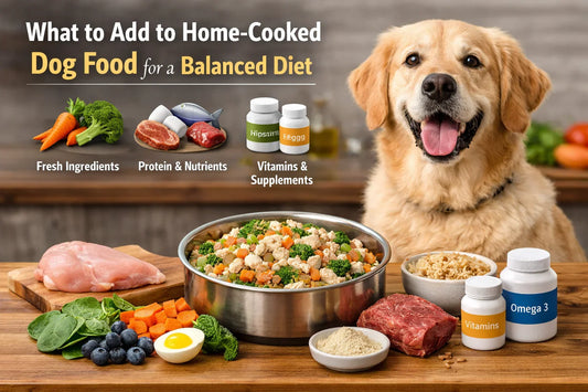 What Should I Add If I Want to Feed My Dog Home-Cooked Food