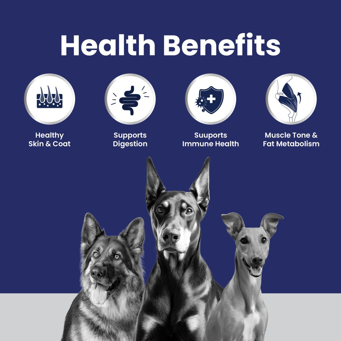 Carniwel Club - Maintenance Formula for All Dog Breeds