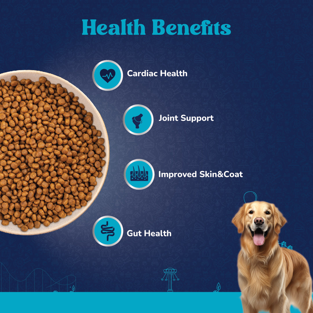 Carniwel Fresh Chicken Dry Dog Food – Supports optimal skin & coat, cardiac health, joint health, and gut health. Healthy dog food
