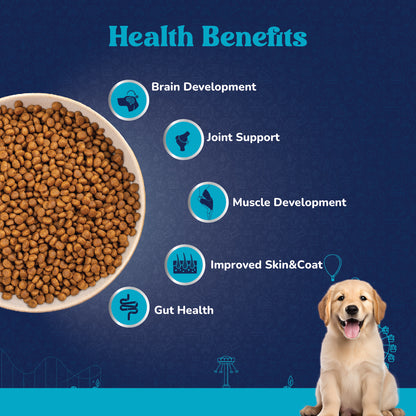 Carniwel Fresh Chicken Dry Dog Food – Supports optimal skin & coat, joint health, muscle development and gut health | Healthy dog food