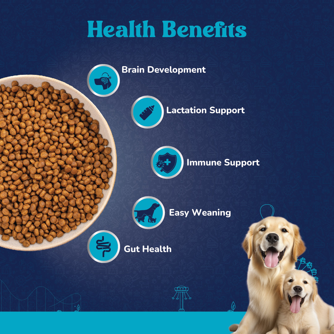 Carniwel Fresh Chicken Dry Dog Food – Supports easy weaning, lactation, immune, brain development and gut health | Healthy dog food