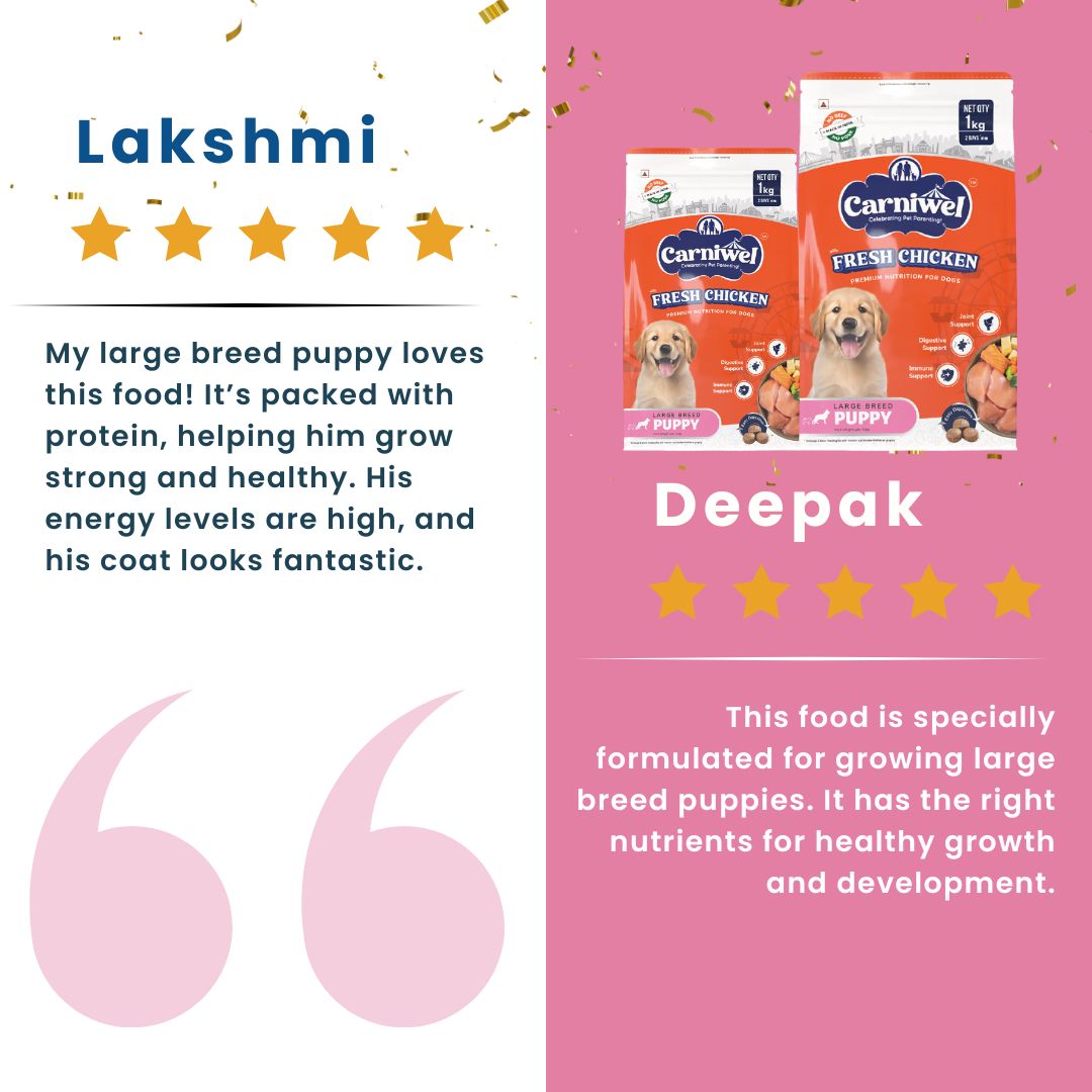 Carniwel Chicken Dog Food Reviews – Best dog food enriched with fresh chicken and antarctic krill. A top choice for the best pet food.