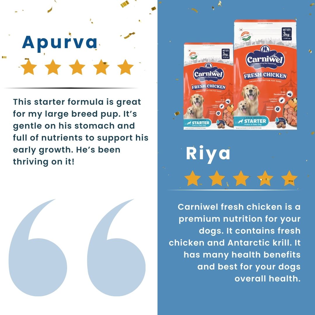 Carniwel Chicken Dog Food Reviews – Best dog food enriched with fresh chicken and antarctic krill. A top choice for the best pet food.