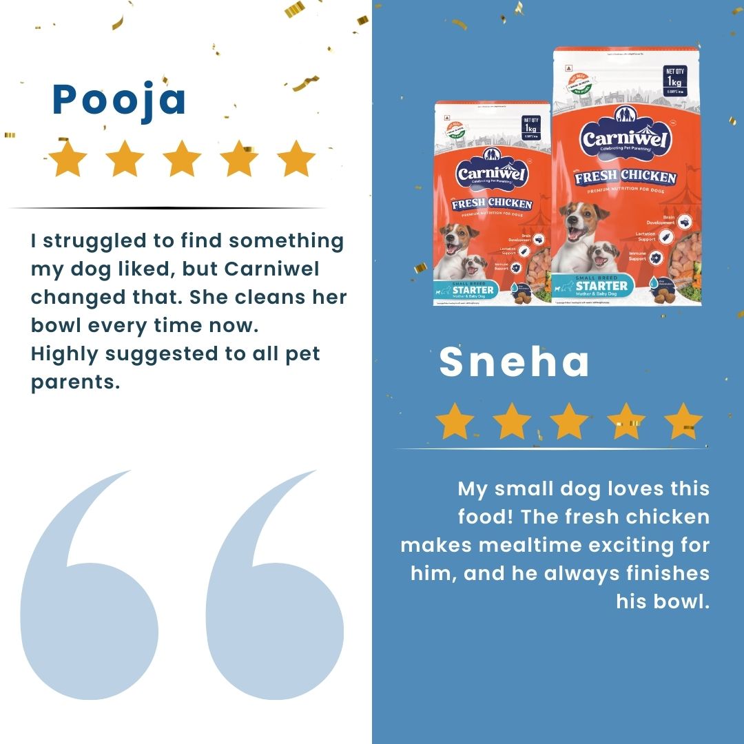 Carniwel Chicken Dog Food Reviews – Best dog food enriched with fresh chicken and antarctic krill. A top choice for the best pet food.