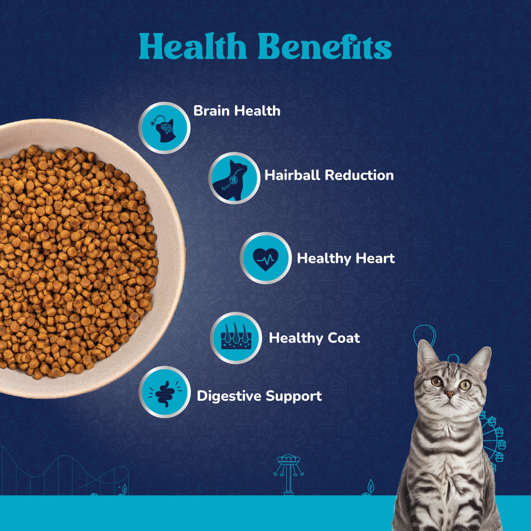 Carniwel Ocean Fish & Krill Dry Cat Food – Supports Healthy Coat and immune system, Brain health, digestion | Healthy cat food