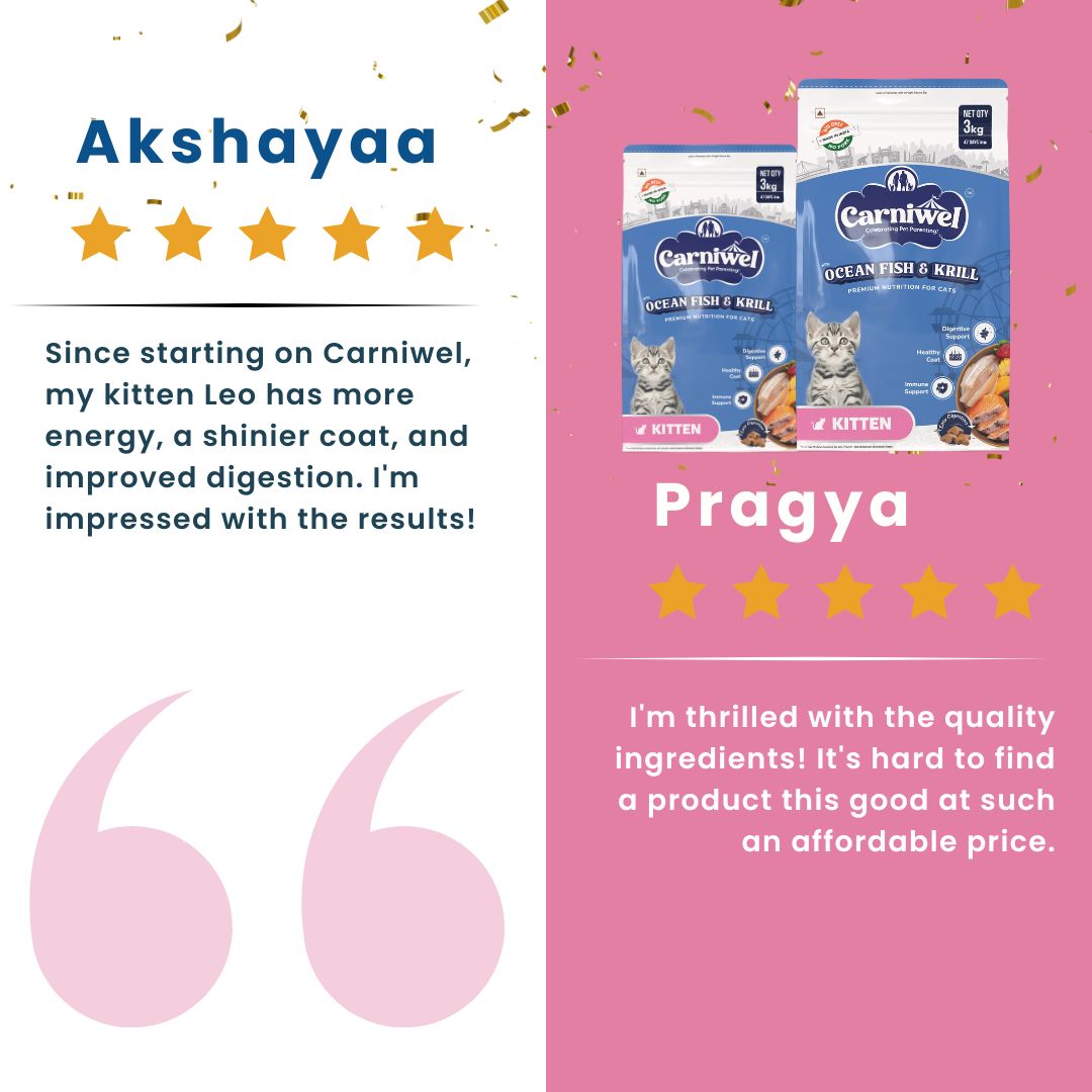 Carniwel Ocean Fish & Krill Kitten Food Reviews – Best Cat food enriched with Ocean Fish and Antarctic Krill. A top choice for the best pet food.