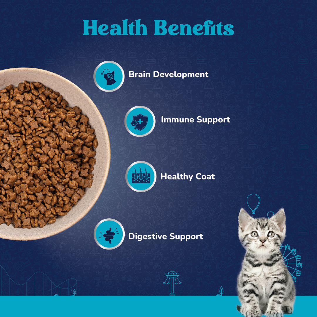 Carniwel Ocean Fish & Krill Dry Cat Food – Supports Healthy Coat, immune system. Brain health, Digestion | Best cat food