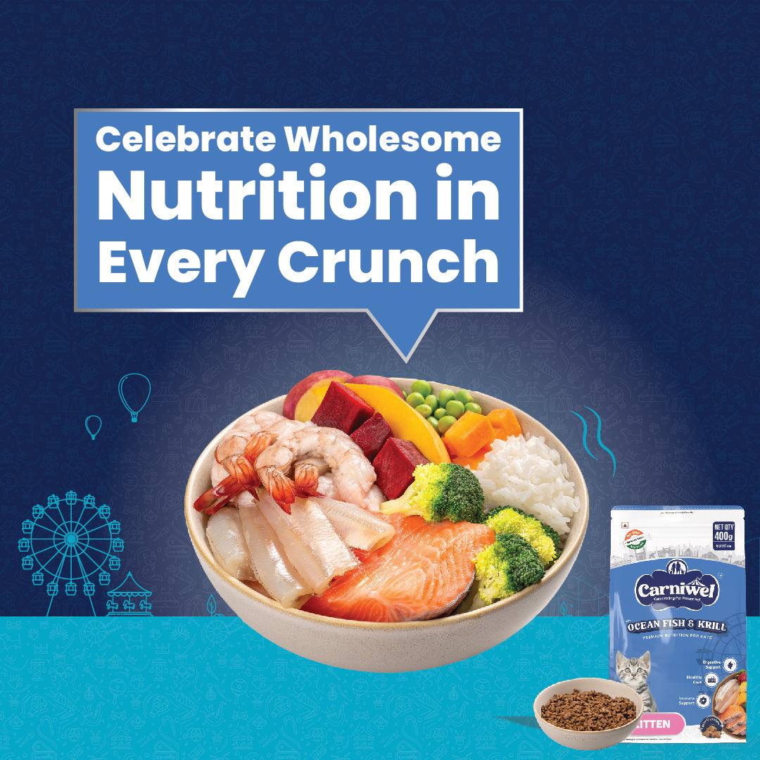 Carniwel Premium pet food for Persian cats, delivering premium nutrition in every bite for optimal health. Best Cat Food