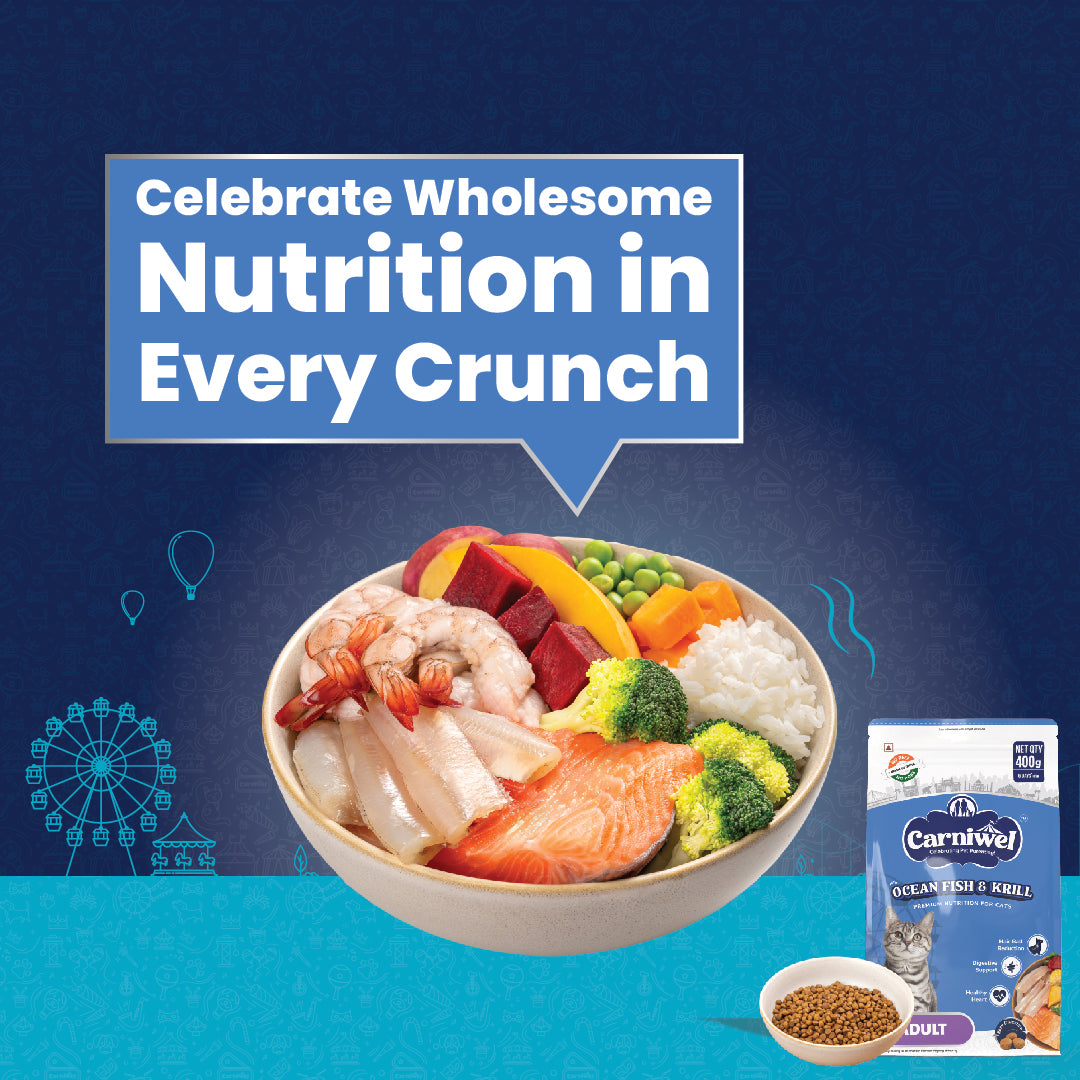 Carniwel Premium pet food for Persian cats, delivering premium nutrition in every bite for optimal health. Best cat food