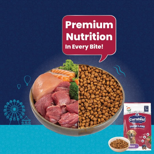 Carniwel Premium pet food for pedigree dog, delivering premium nutrition in every bite for optimal health. Healthy dog food