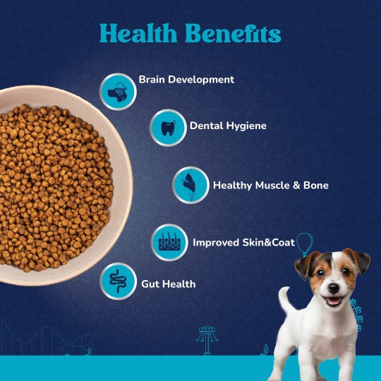 Carniwel Fresh Lamb Dry Dog Food – Supports optimal skin & coat, muscle development and gut health | Healthy dog food