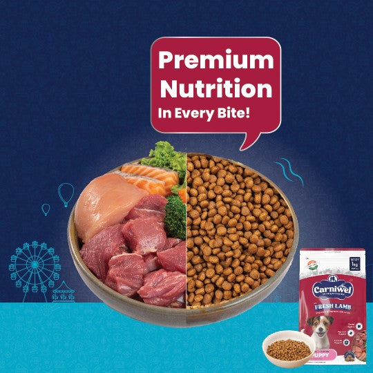 Carniwel Premium pet food for pedigree dog, delivering premium nutrition in every bite for optimal health. Healthy dog food