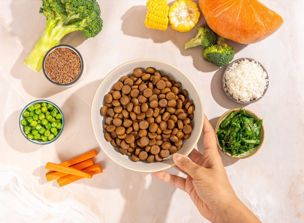 Dog food bowl surrounded by various vegetables on a light background - Carniwel Pet Food Ingredients
