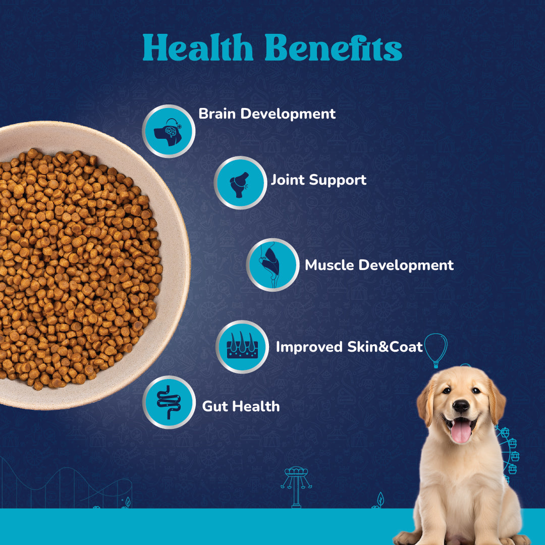 Carniwel Veg Dry Dog Food – Supports optimal skin & coat, joint health, muscle development and gut health | Healthy dog food