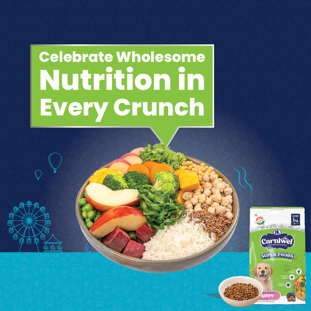 Carniwel Premium pet food for pedigree dog, delivering premium nutrition in every bite for optimal health. Healthy dog food.