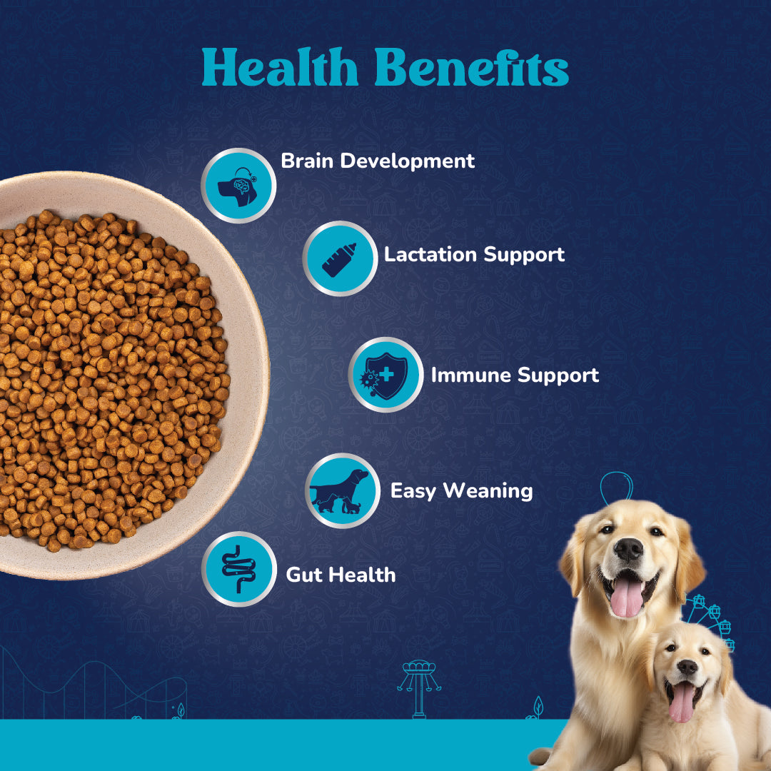 Carniwel Veg Dry Dog Food – Supports easy weaning, lactation, immune, brain development and gut health | Healthy dog food