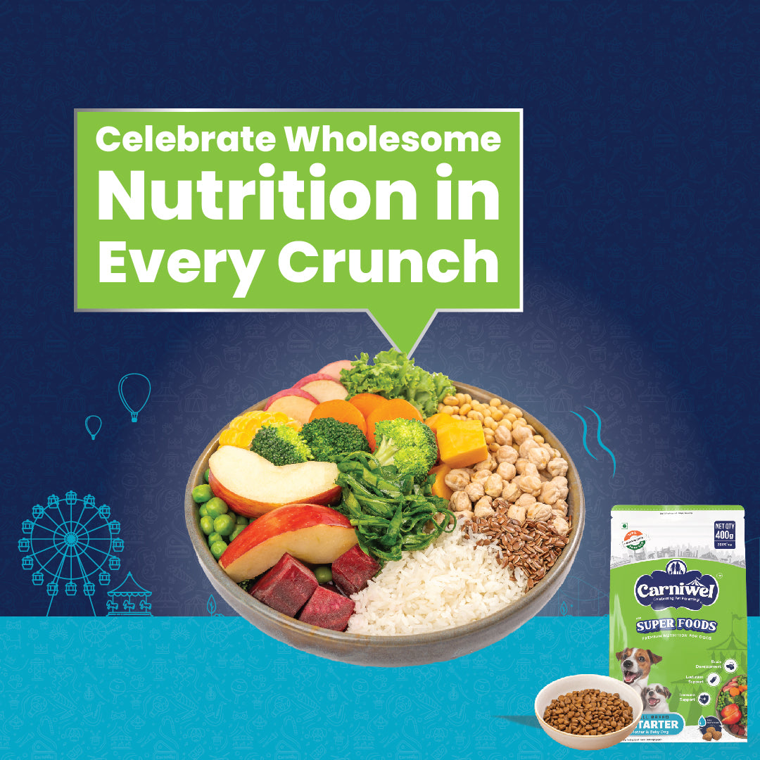 Carniwel Premium pet food for pedigree dog, delivering premium nutrition in every bite for optimal health. Healthy dog food
