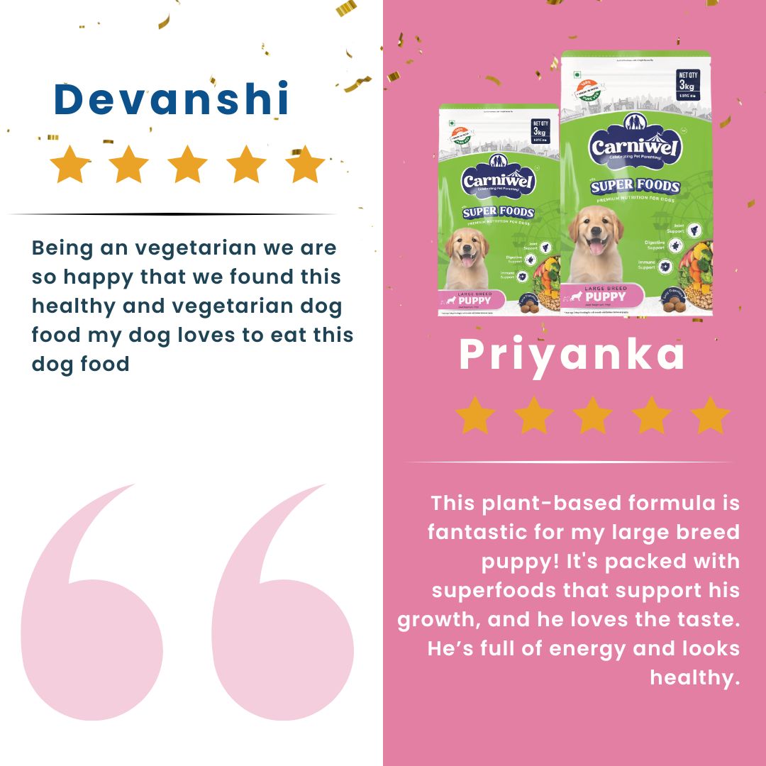 Carniwel Veg Dog Food Reviews – Best dog food enriched with superfoods and algal oil. A top choice for the best pet food.