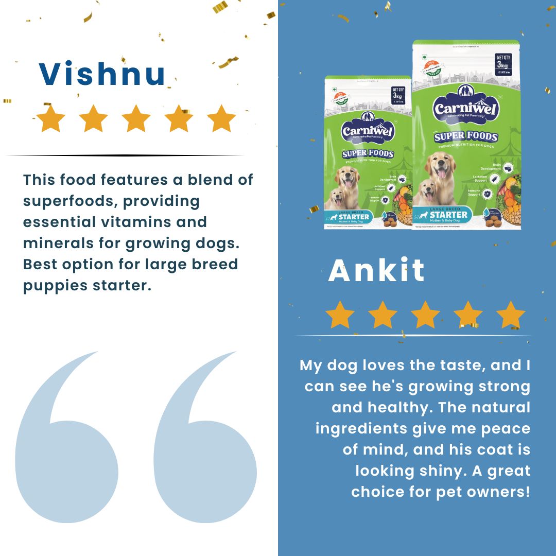 Carniwel Veg Dog Food Reviews – Best dog food enriched with superfoods and algal oil. A top choice for the best pet food.