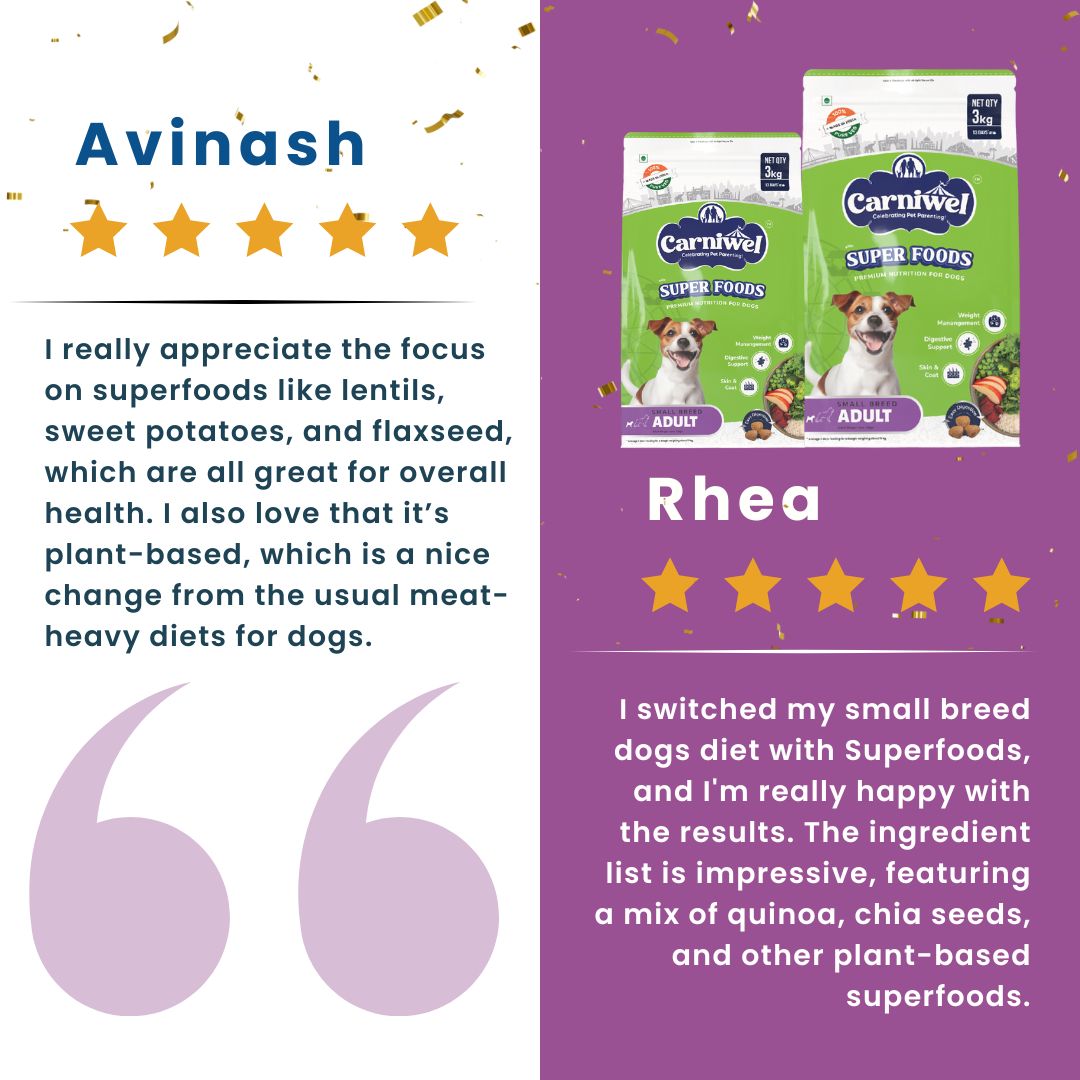 Carniwel Veg Dog Food Reviews – Best dog food enriched with superfoods and algal oil. A top choice for the best pet food.