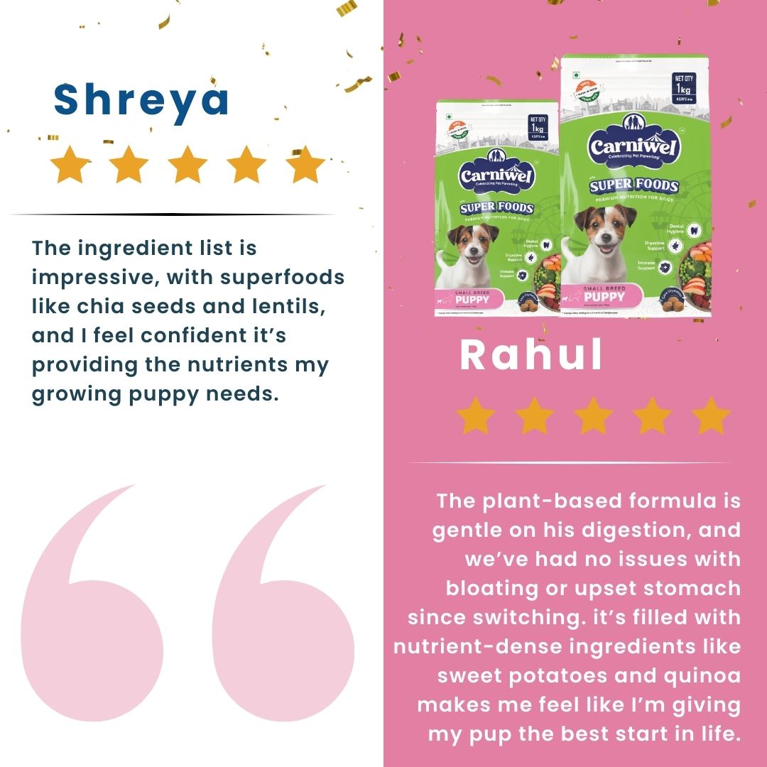 Carniwel Veg Dog Food Reviews – Best dog food enriched with superfoods and algal oil. A top choice for the best pet food.