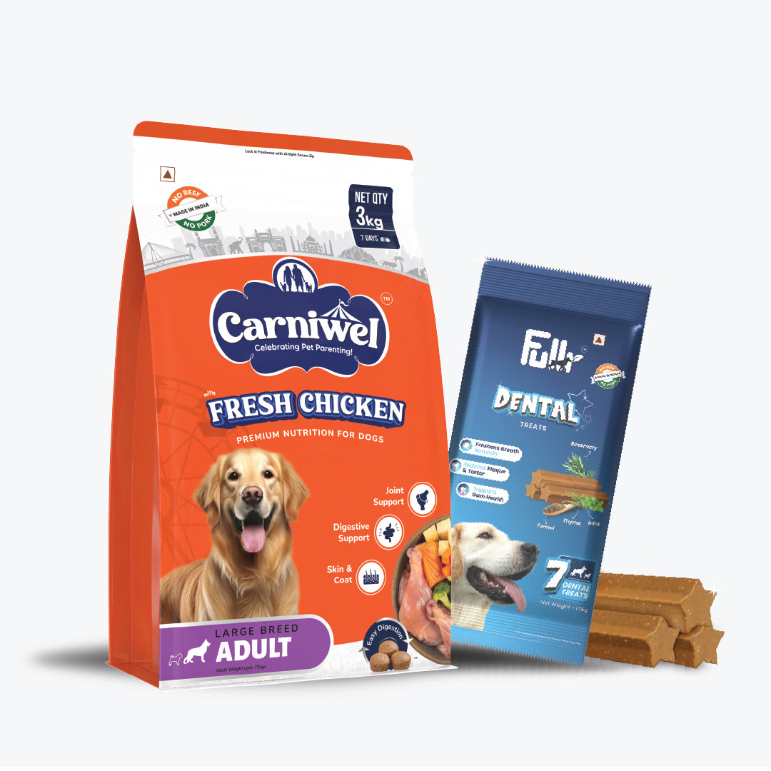 Carniwel with Fresh Chicken, Dry Dog Food for Large Dog, Adult