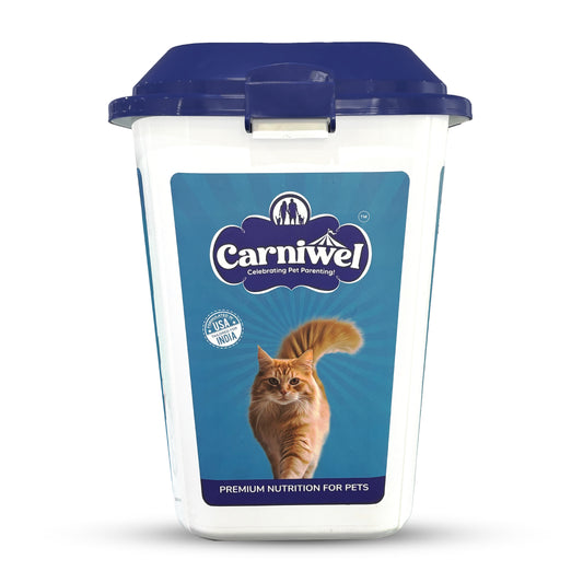 Container