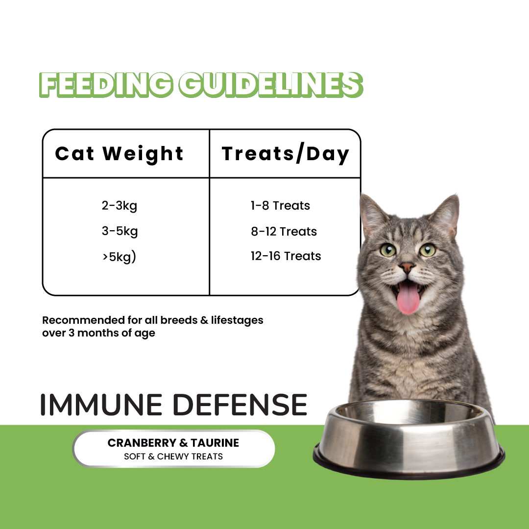 Fullr Soft & Chewy Cat Treats